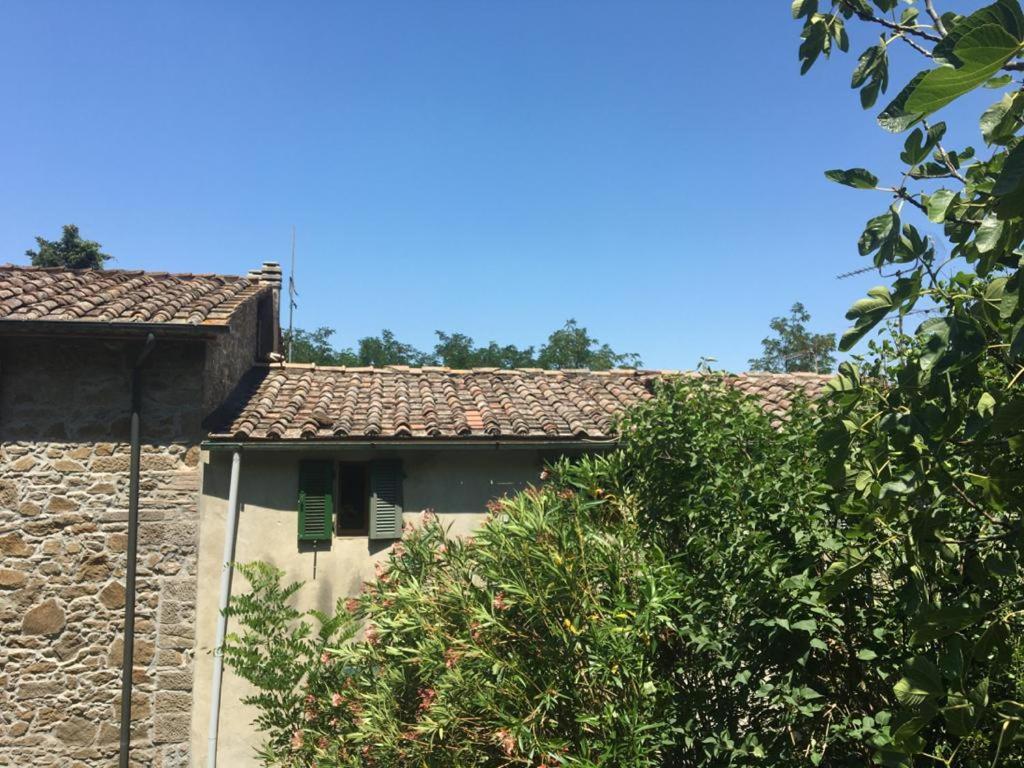 Casina Orione Apartment Montecatini Val di Cecina Ngoại thất bức ảnh